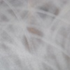 Untitled (second and final transformation)(detail)