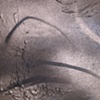 Untitled (detail)