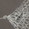 Ephemeralites