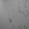 Out on a Whim (detail)