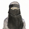 Jihad: The Musical