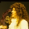 The Provoked Wife