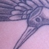 crane.