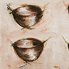 Four Vessels