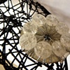 "Lucy" shoe detail