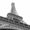 'here's looking at you paris'