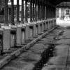 city walks