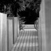 'walk my path'