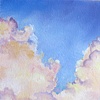 Skies