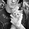 Kitten
