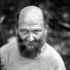 The Holler