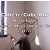 videos / installations