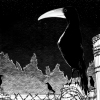 The Crow