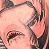 Shark (Black and Gray)