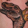 Velociraptor