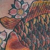Koi