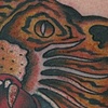 Tiger Head