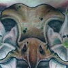 Owl skull chest piece