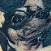 Tiny dog portrait in lace sleeve