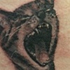 Deftones Cat