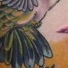 Hummingbird