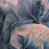 Manatees