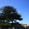 Monterey California