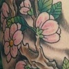 Cherry Blossoms
