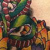 Snake Lotus