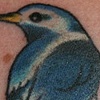 3 Little Birds.