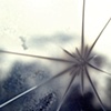 Through A Foggy Window
