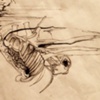 Anatomy Space 7