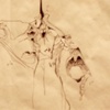 Anatomy Space 5