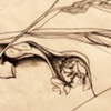 Anatomy Space 6