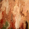 Veins, Tunnels, and the Flaking of Flesh- detail