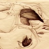 Anatomy Space 2