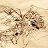 Anatomy Space 3