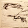 drawings