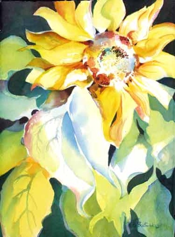 Sunny