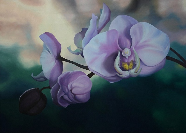 Orchid Dew