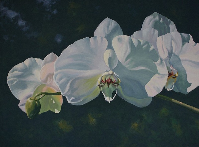 Orchid Song