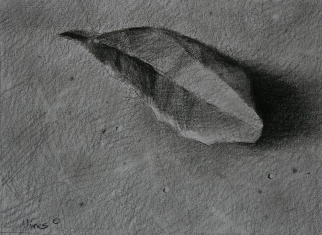 Oak leaf
