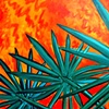 Brazil Palms