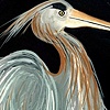 Ward Egret