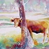 Moo