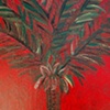 Red Palm