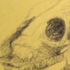 Mass Gesture Drawing