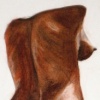 Sculpture Drawing