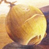 Complementary Color Study