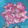 Sea of the PInk Rose